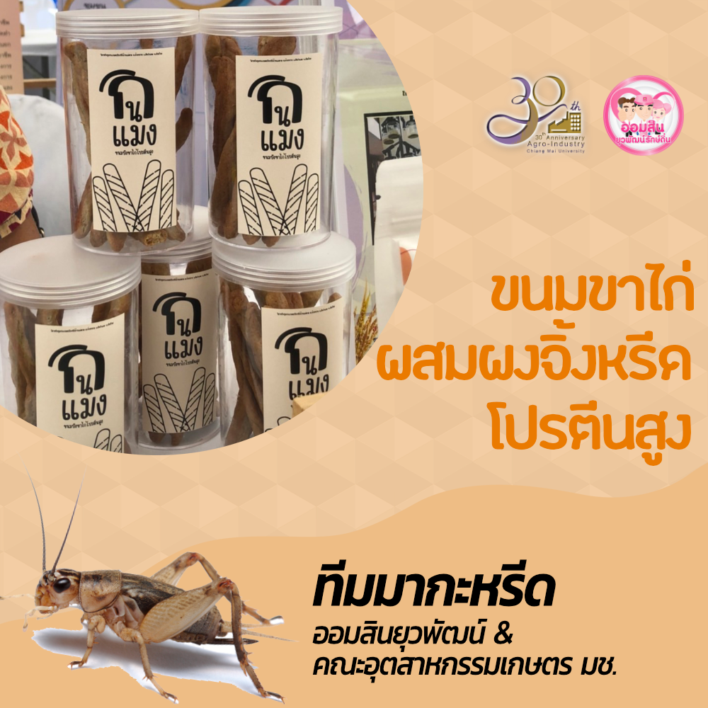 ทีมมากะหรีด อก.มช. ออก Road Show ขายผลิตภัณฑ์ “ขนมขาไก่ผสมผงจิ้งหรีดโปรตีนสูง ในงาน FTI Expo 2022 : Shaping Future Industries for Stronger Thailand