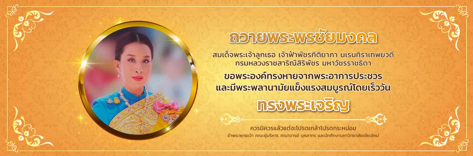 มหาวิทยาลัยเชียงใหม่ : Chiang Mai University THAILAND